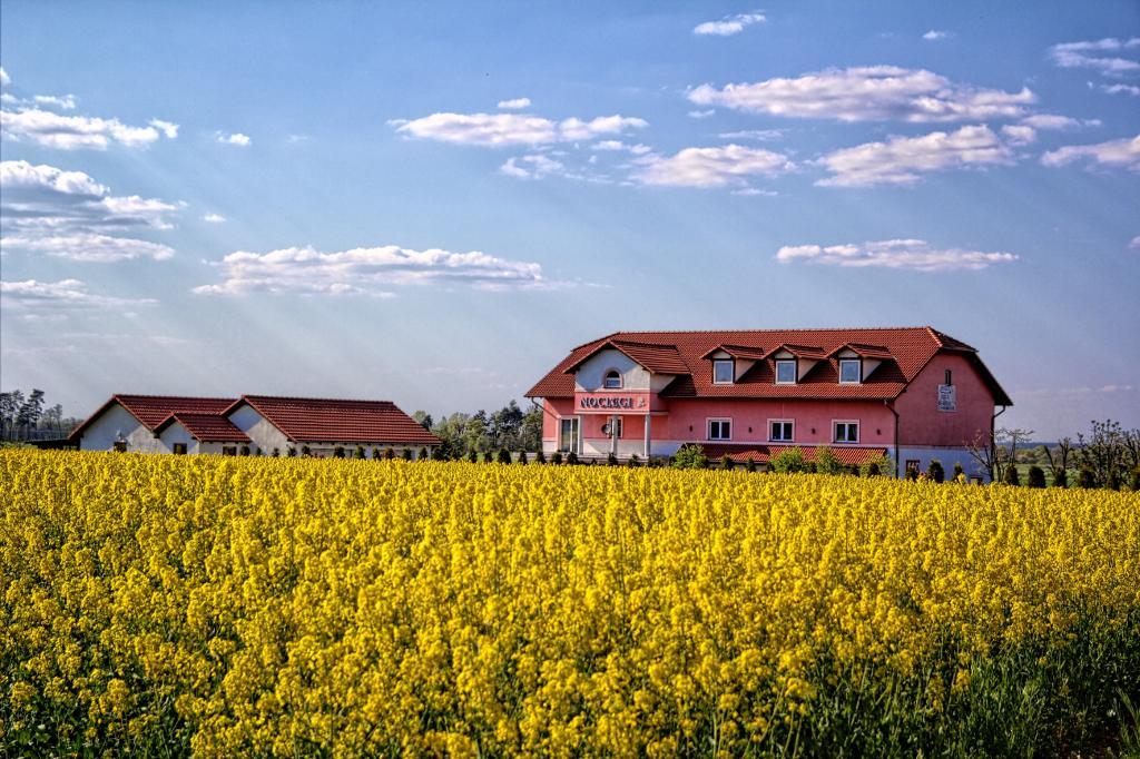 Noclegi Biala Roza Boleslawiec  Exterior photo